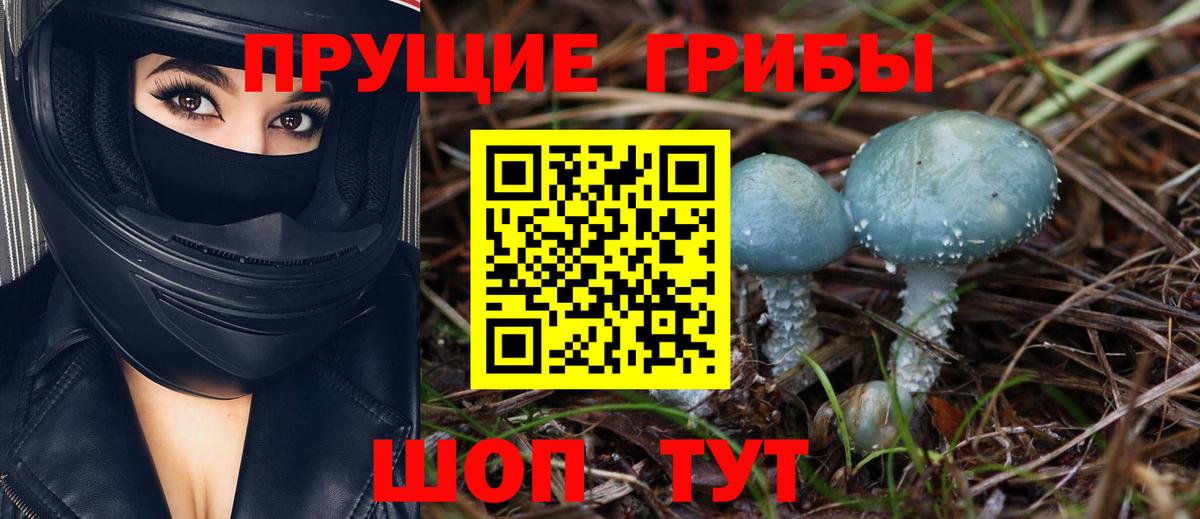Галлюциногенные грибы мицелий Новочеркасск